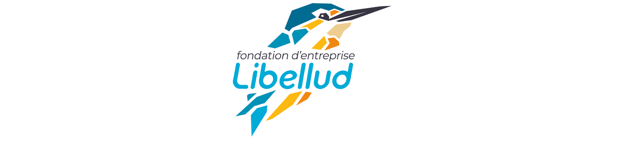 logo fondation Libellud